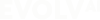 Evolv AI - White Logo